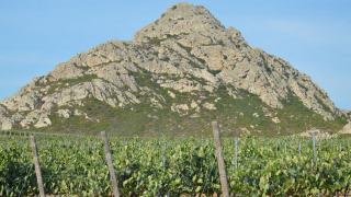 Pouilly-Fuissé : chardonnay et premiers crus