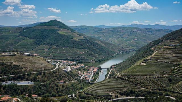 Les appellations de la vallée du Rhône, septentrionale et méridionale Les appellations de la vallée du Rhône, septentrionale et méridionale