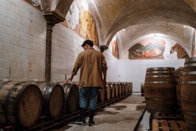 Le métier de vigneron, ses statuts et l’art de visiter un domaine Le métier de vigneron, ses statuts et l’art de visiter un domaine