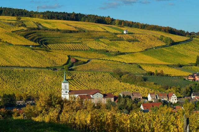 La route des vins d’Alsace, de Marlenheim à Thann La route des vins d’Alsace, de Marlenheim à Thann