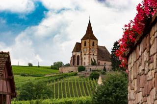 Le Bollenberg, colline sèche et pinot noir d’Alsace