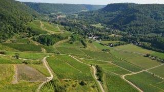 Côte de Brouilly et les dix crus du Beaujolais