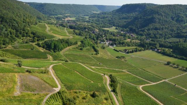 Côte de Brouilly, Brouilly et les dix crus du Beaujolais Côte de Brouilly, Brouilly et les dix crus du Beaujolais