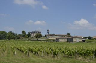 Blaye Côtes de Bordeaux, rive droite de l’estuaire