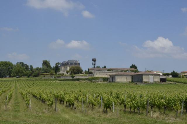 Blaye Côtes de Bordeaux, vignoble face à l’estuaire de la Gironde Blaye Côtes de Bordeaux, vignoble face à l’estuaire de la Gironde
