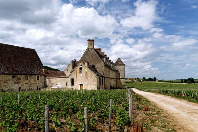 Nuits-Saint-Georges, appellation de pinot noir sans grand cru Nuits-Saint-Georges, appellation de pinot noir sans grand cru