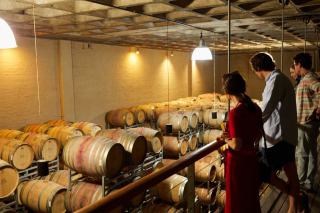 Visiter un domaine viticole : préparer et bien se tenir