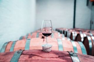 Vignobles & Découvertes : le label de l’œnotourisme