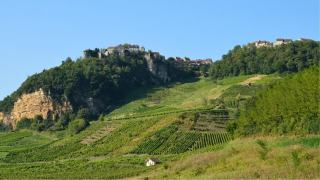 Savagnin et Côtes du Jura : ouillé ou sous voile