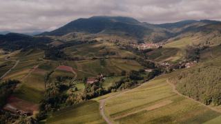 Macvin du Jura : moût muté au marc
