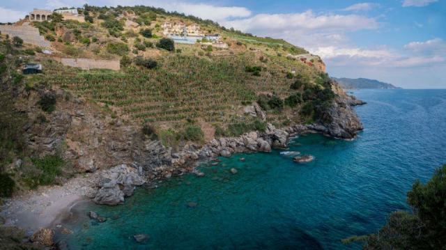 Banyuls, le vin doux des terrasses de schiste de la Côte Vermeille Banyuls, le vin doux des terrasses de schiste de la Côte Vermeille