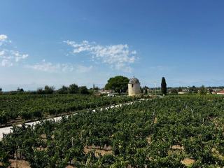La Clape : un massif calcaire entre Narbonne et la mer