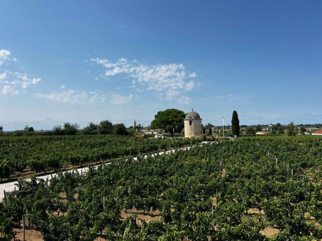La Clape, l’ancienne île calcaire devenue appellation du Languedoc La Clape, l’ancienne île calcaire devenue appellation du Languedoc