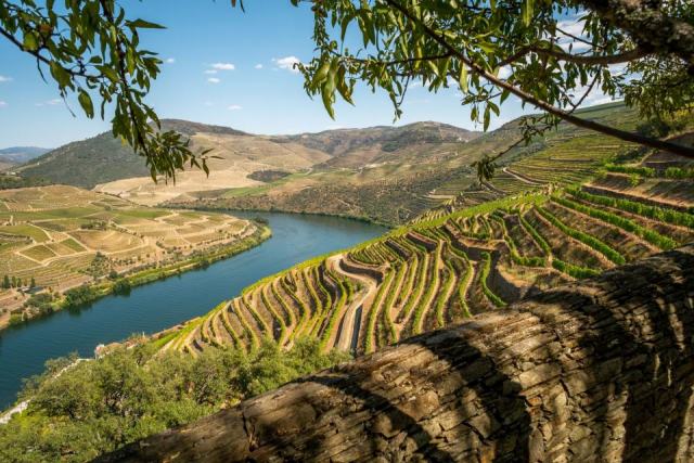 Saint-Joseph, une longue appellation de la rive droite du Rhône Saint-Joseph, une longue appellation de la rive droite du Rhône