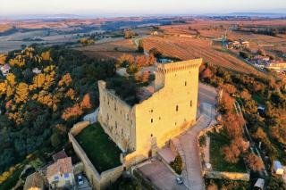 Châteauneuf-du-Pape : galets roulés et treize cépages
