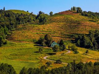 Gigondas, au pied des Dentelles de Montmirail