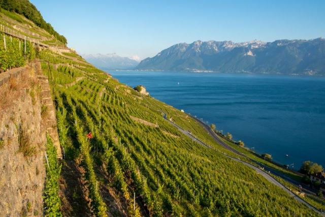 Apremont, cru des vins de Savoie né d’un éboulement Apremont, cru des vins de Savoie né d’un éboulement