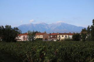 Jurançon : petit manseng, sec et moelleux