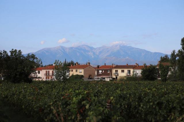 Jurançon, les blancs de mansengs du piémont béarnais Jurançon, les blancs de mansengs du piémont béarnais