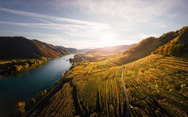 Le tour des vignobles de France, du Rhône au Jura, vu depuis les rangs de vigne