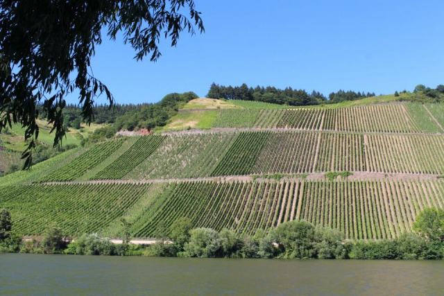 Crozes-Hermitage, la plus vaste appellation du Rhône septentrional Crozes-Hermitage, la plus vaste appellation du Rhône septentrional